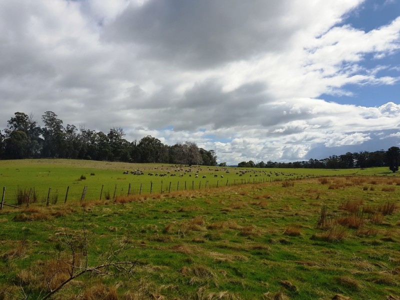 Lot 1, 909 New Country Marsh Road, Tunnack TAS 7120