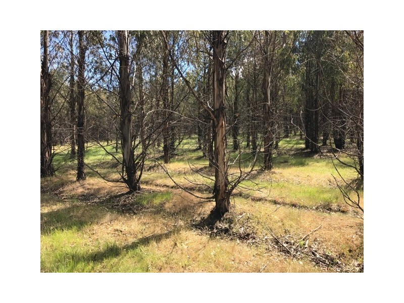 172 McGuires Marsh Road, Osterley TAS 7140
