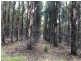 172 McGuires Marsh Road, Osterley TAS 7140