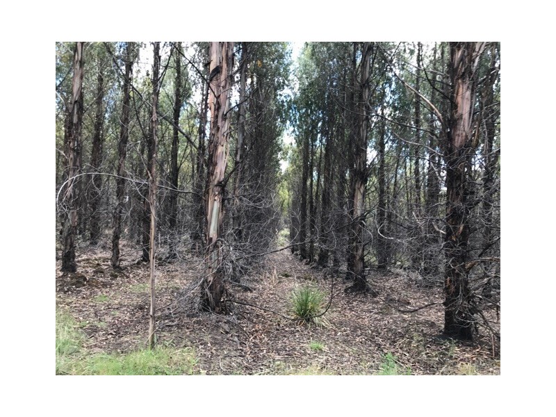 172 McGuires Marsh Road, Osterley TAS 7140