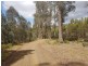 172 McGuires Marsh Road, Osterley TAS 7140