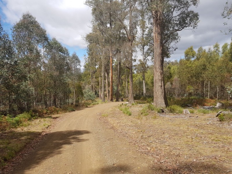 172 McGuires Marsh Road, Osterley TAS 7140