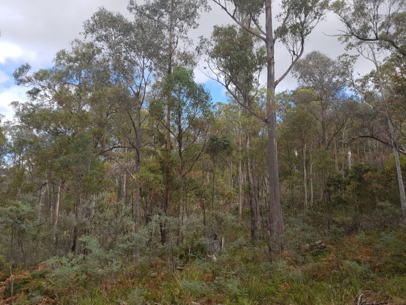 172 McGuires Marsh Road, Osterley TAS 7140