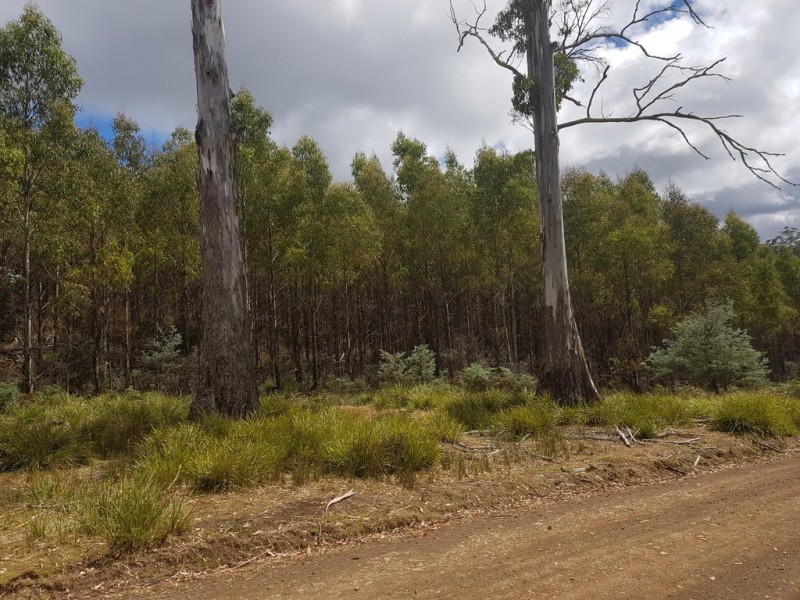 172 McGuires Marsh Road, Osterley TAS 7140