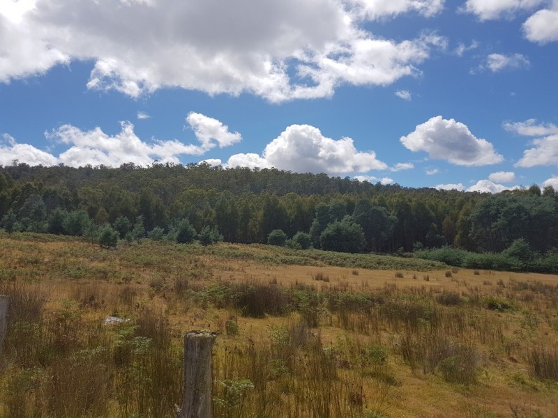 172 McGuires Marsh Road, Osterley TAS 7140