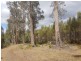 172 McGuires Marsh Road, Osterley TAS 7140