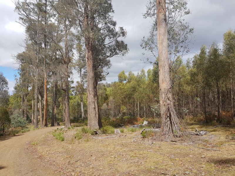 172 McGuires Marsh Road, Osterley TAS 7140
