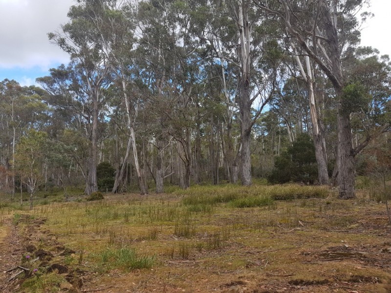 172 McGuires Marsh Road, Osterley TAS 7140