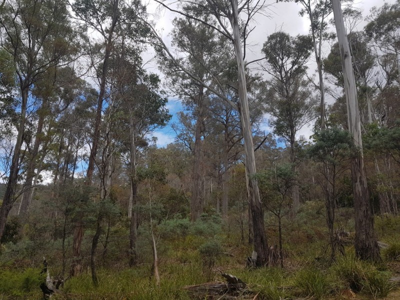 172 McGuires Marsh Road, Osterley TAS 7140