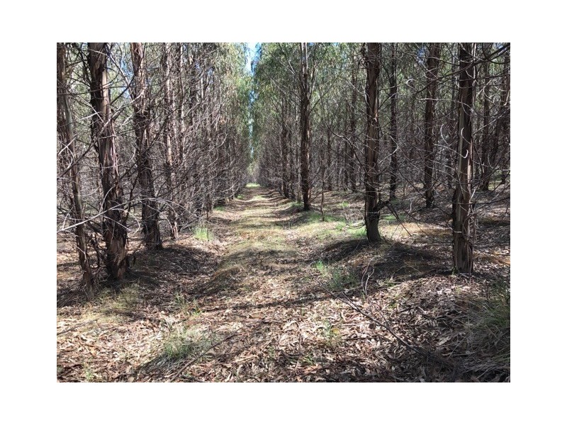 172 McGuires Marsh Road, Osterley TAS 7140