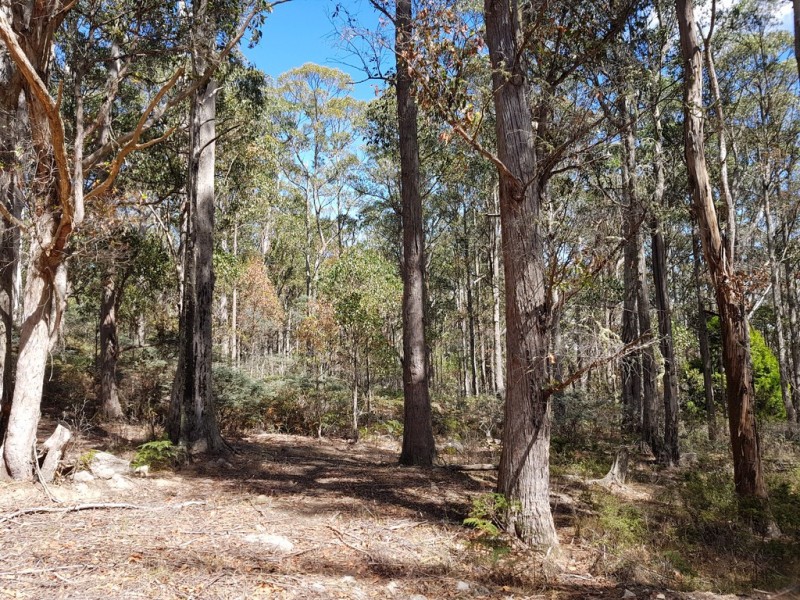 121 High Peak Road, Tunnack TAS 7120