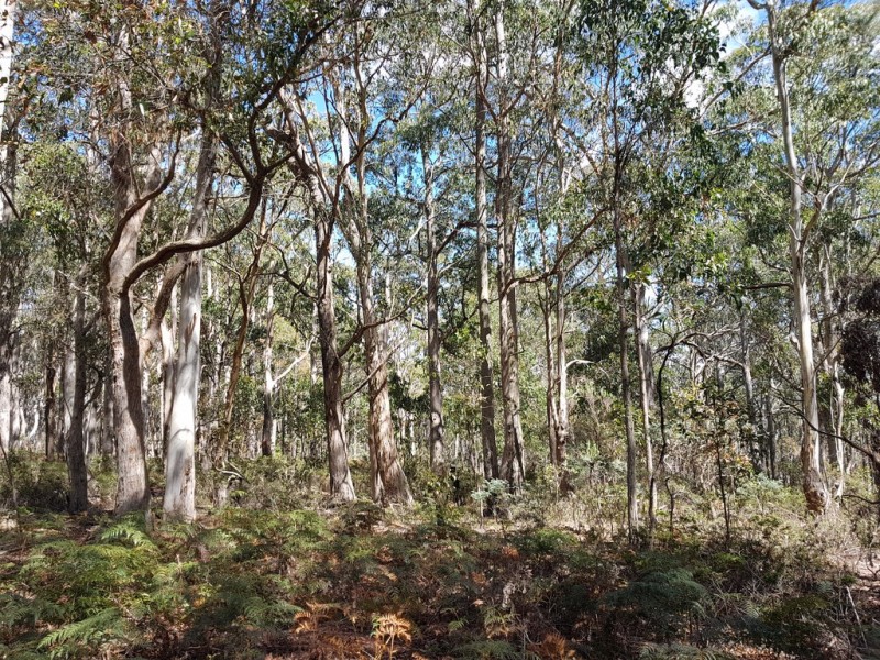 121 High Peak Road, Tunnack TAS 7120