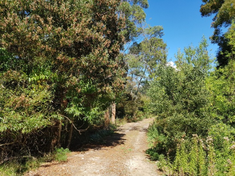158A Ellendale Road, Westerway TAS 7140