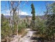 158A Ellendale Road, Westerway TAS 7140