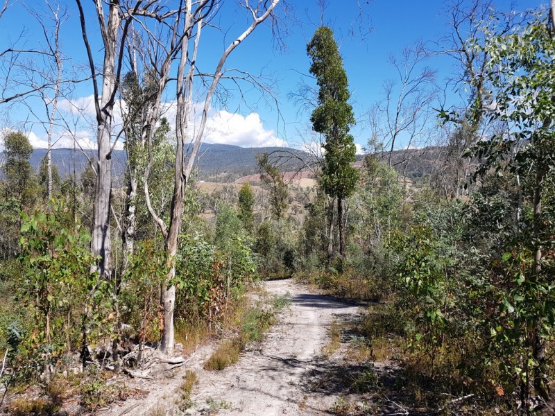 158A Ellendale Road, Westerway TAS 7140