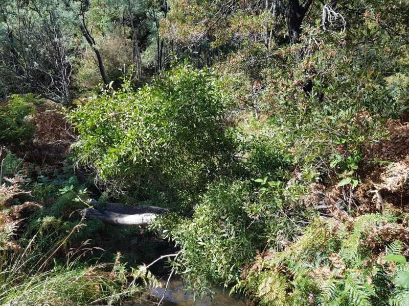 158A Ellendale Road, Westerway TAS 7140