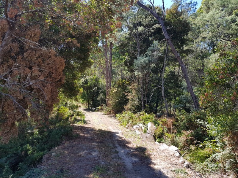 158A Ellendale Road, Westerway TAS 7140