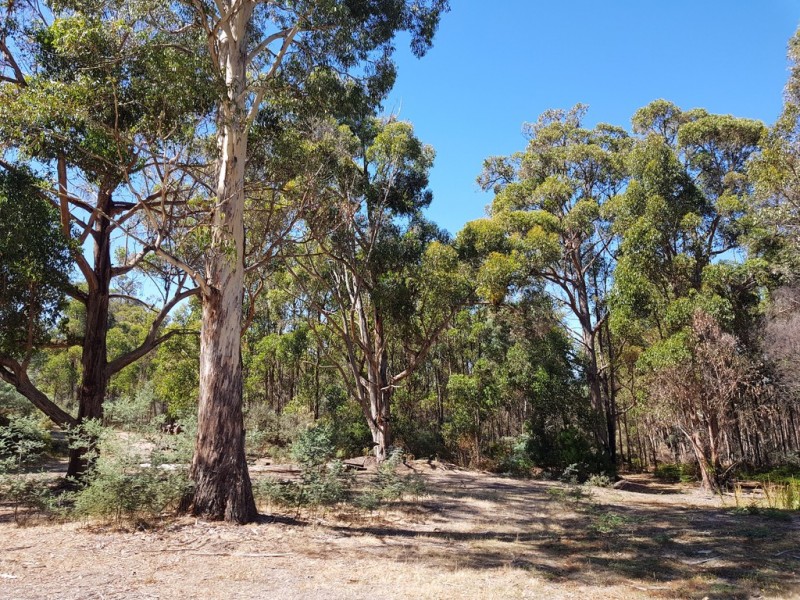 158A Ellendale Road, Westerway TAS 7140