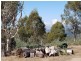 158A Ellendale Road, Westerway TAS 7140