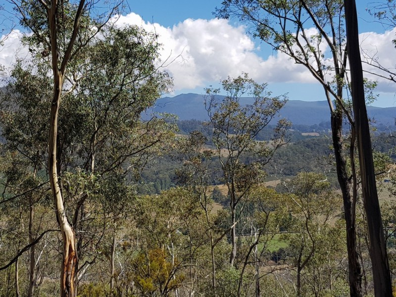 158A Ellendale Road, Westerway TAS 7140