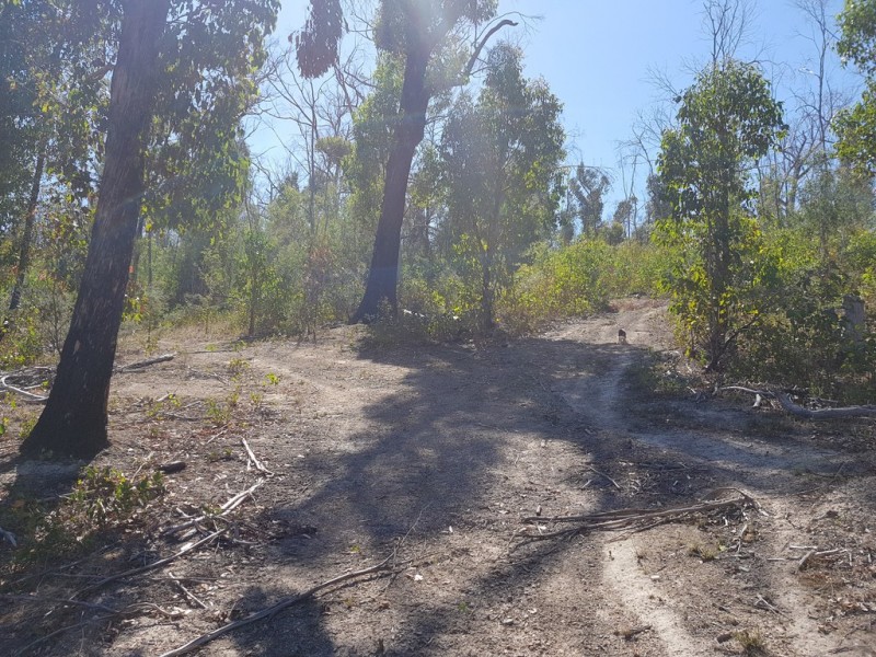 158A Ellendale Road, Westerway TAS 7140
