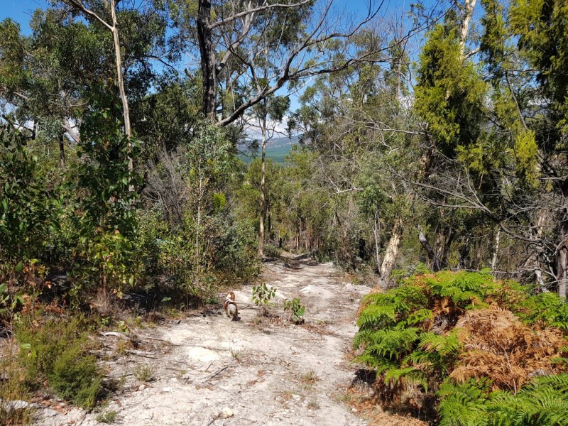 158A Ellendale Road, Westerway TAS 7140