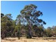158A Ellendale Road, Westerway TAS 7140