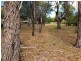 2 Shelmore Drive, Old Beach TAS 7017