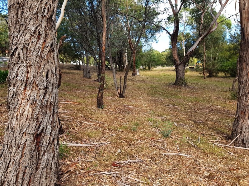 2 Shelmore Drive, Old Beach TAS 7017