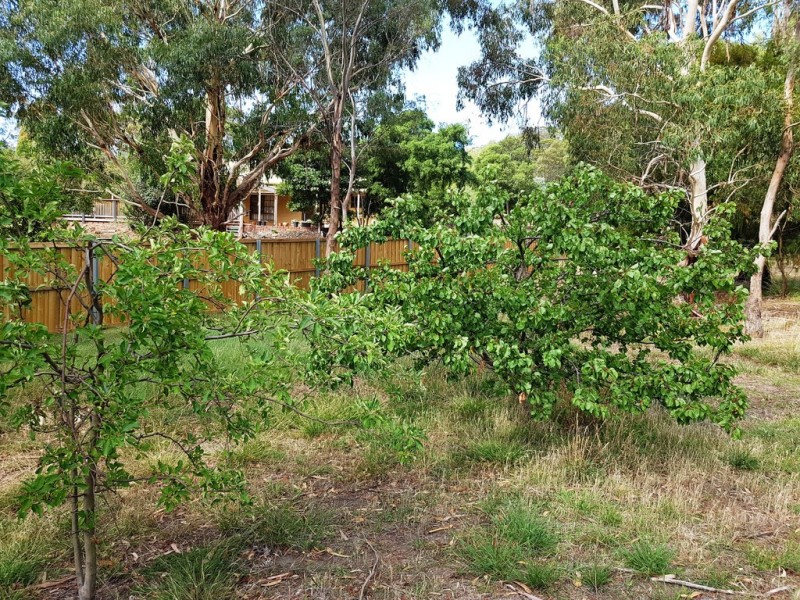 2 Shelmore Drive, Old Beach TAS 7017