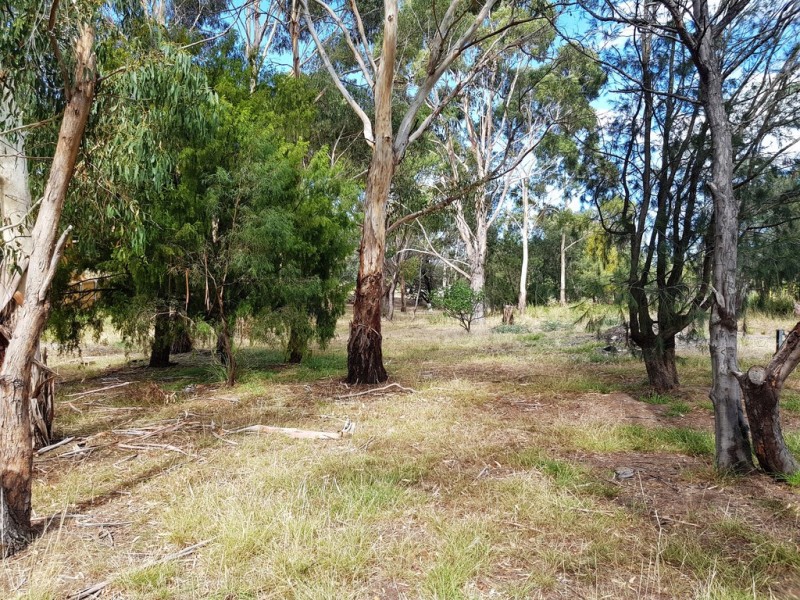 2 Shelmore Drive, Old Beach TAS 7017