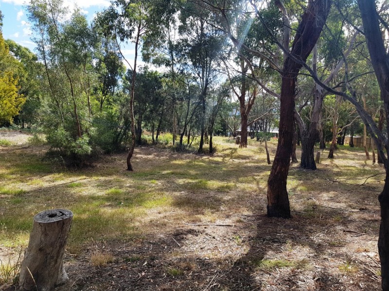 2 Shelmore Drive, Old Beach TAS 7017