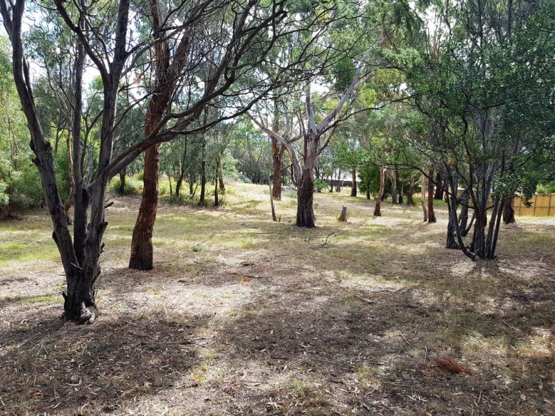 2 Shelmore Drive, Old Beach TAS 7017
