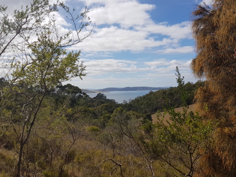 5A Taronga Road, Bonnet Hill TAS 7053