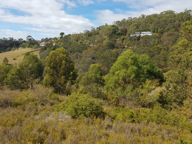 5A Taronga Road, Bonnet Hill TAS 7053