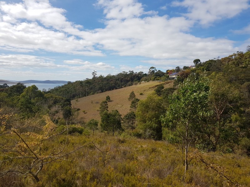5A Taronga Road, Bonnet Hill TAS 7053