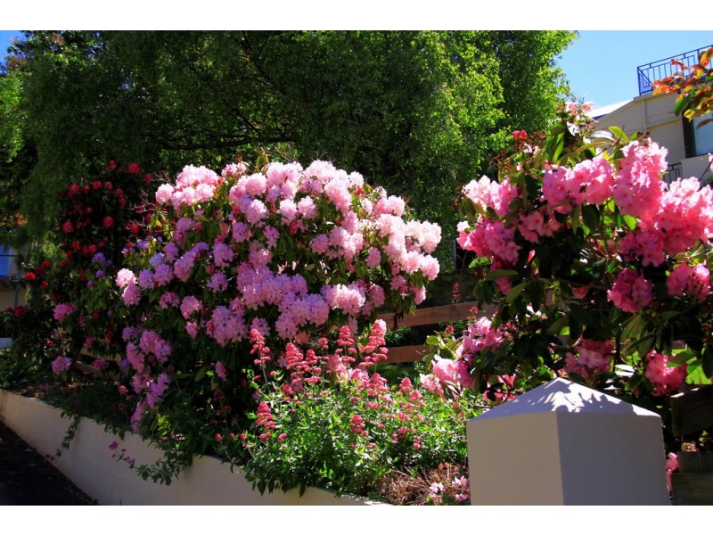 231 Channel Highway, Taroona TAS 7053