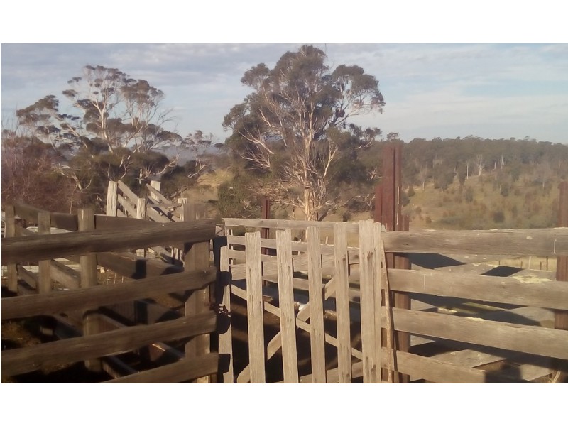 313 Rhyndaston Road, Rhyndaston TAS 7120