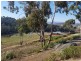 13 Rushwood Court, Lenah Valley TAS 7008
