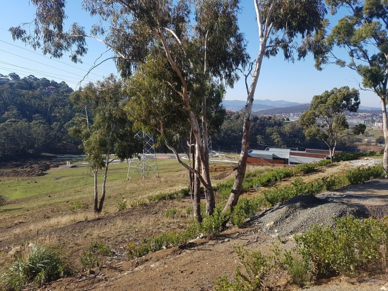 13 Rushwood Court, Lenah Valley TAS 7008