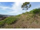 13 Rushwood Court, Lenah Valley TAS 7008