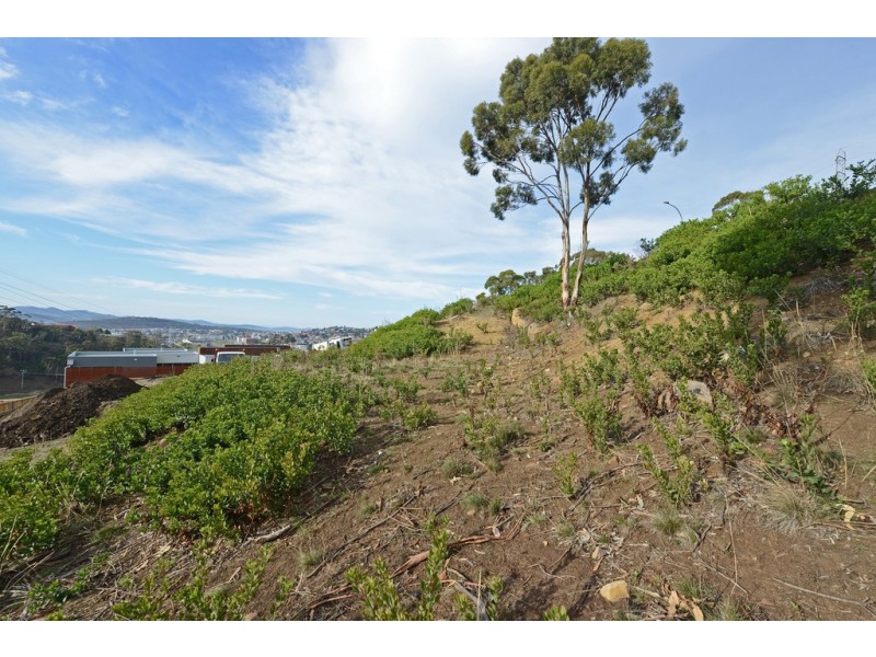 13 Rushwood Court, Lenah Valley TAS 7008