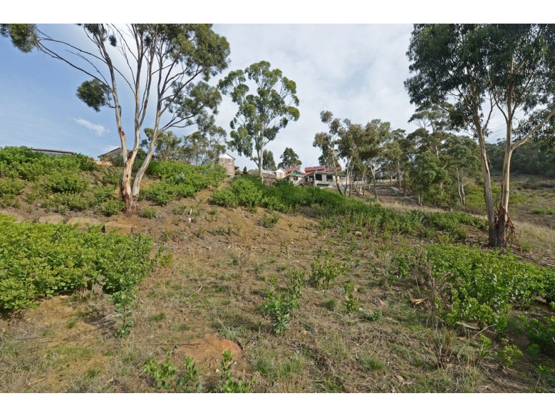13 Rushwood Court, Lenah Valley TAS 7008
