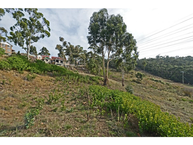 13 Rushwood Court, Lenah Valley TAS 7008