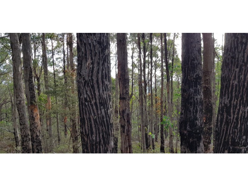 2857 Woodsdale Road, Woodsdale TAS 7120