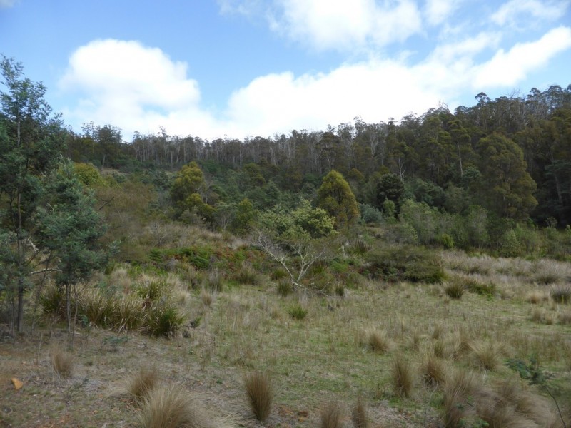 2857 Woodsdale Road, Woodsdale TAS 7120