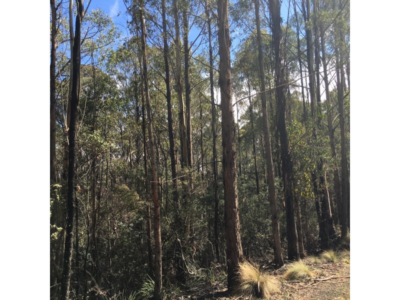 2857 Woodsdale Road, Woodsdale TAS 7120