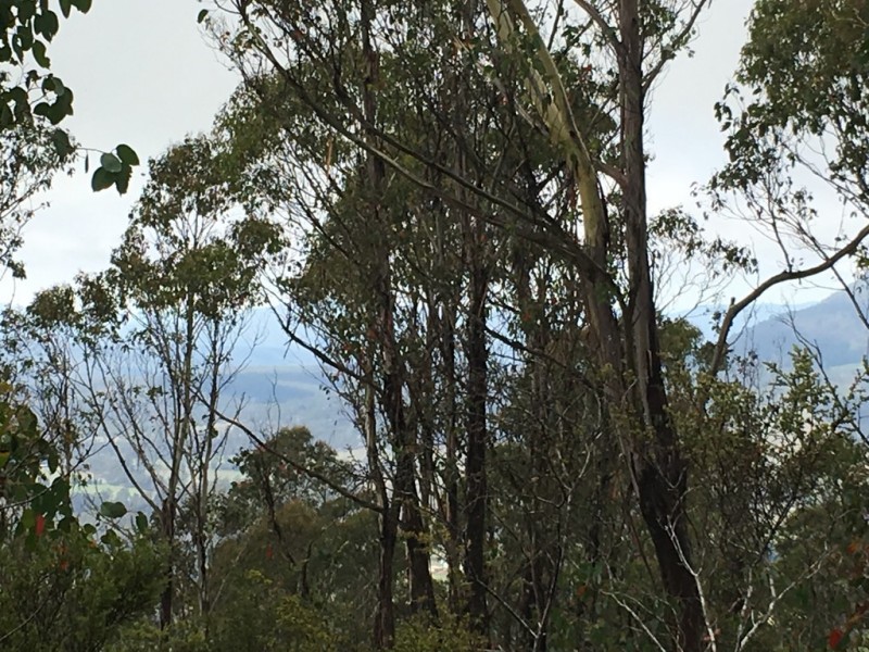 2857 Woodsdale Road, Woodsdale TAS 7120