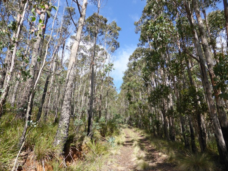 2857 Woodsdale Road, Woodsdale TAS 7120