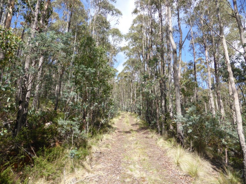 2857 Woodsdale Road, Woodsdale TAS 7120